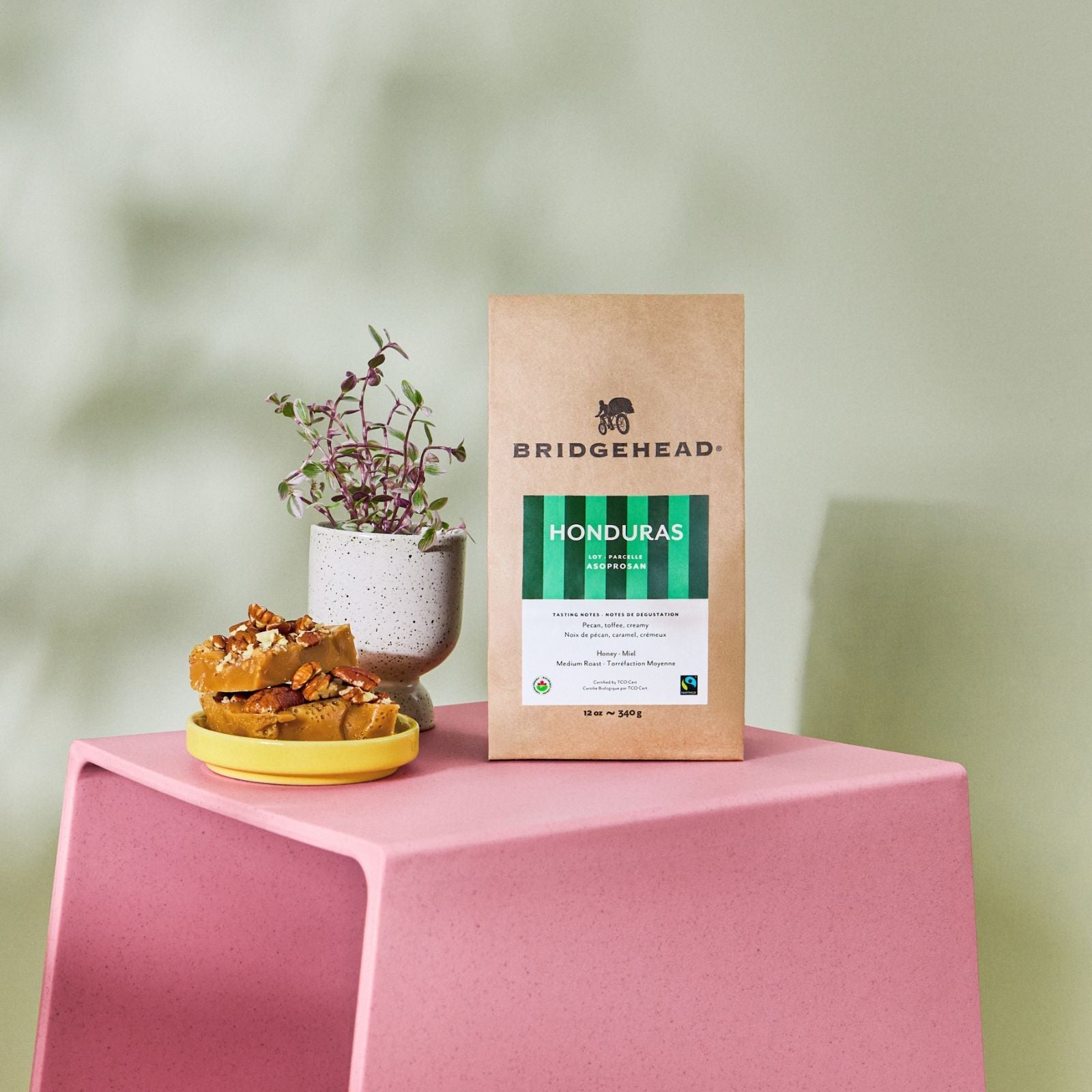 Bag of Honduras coffee on a pink table next to a plant and a bowl of toffee