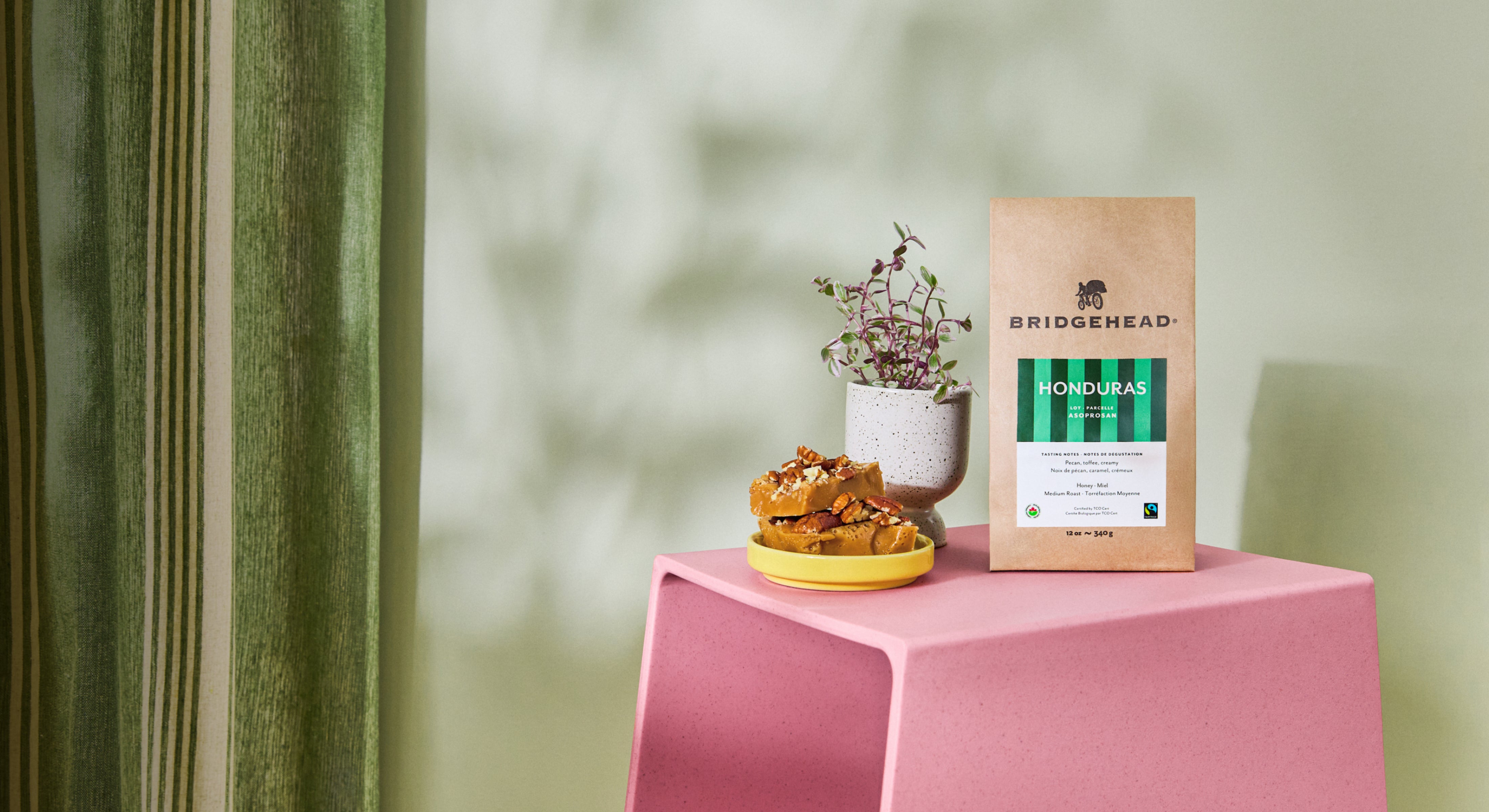 Bridgehead Honduras coffee on a pink table with a plant against a  green wall